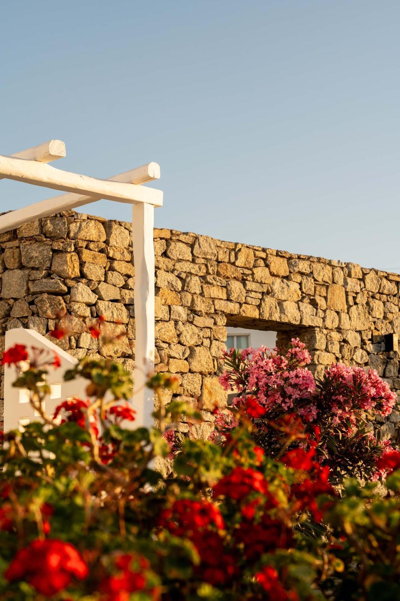 Philosophy Of Mykonos Boutique Hotel Mykonos Town ภายนอก รูปภาพ