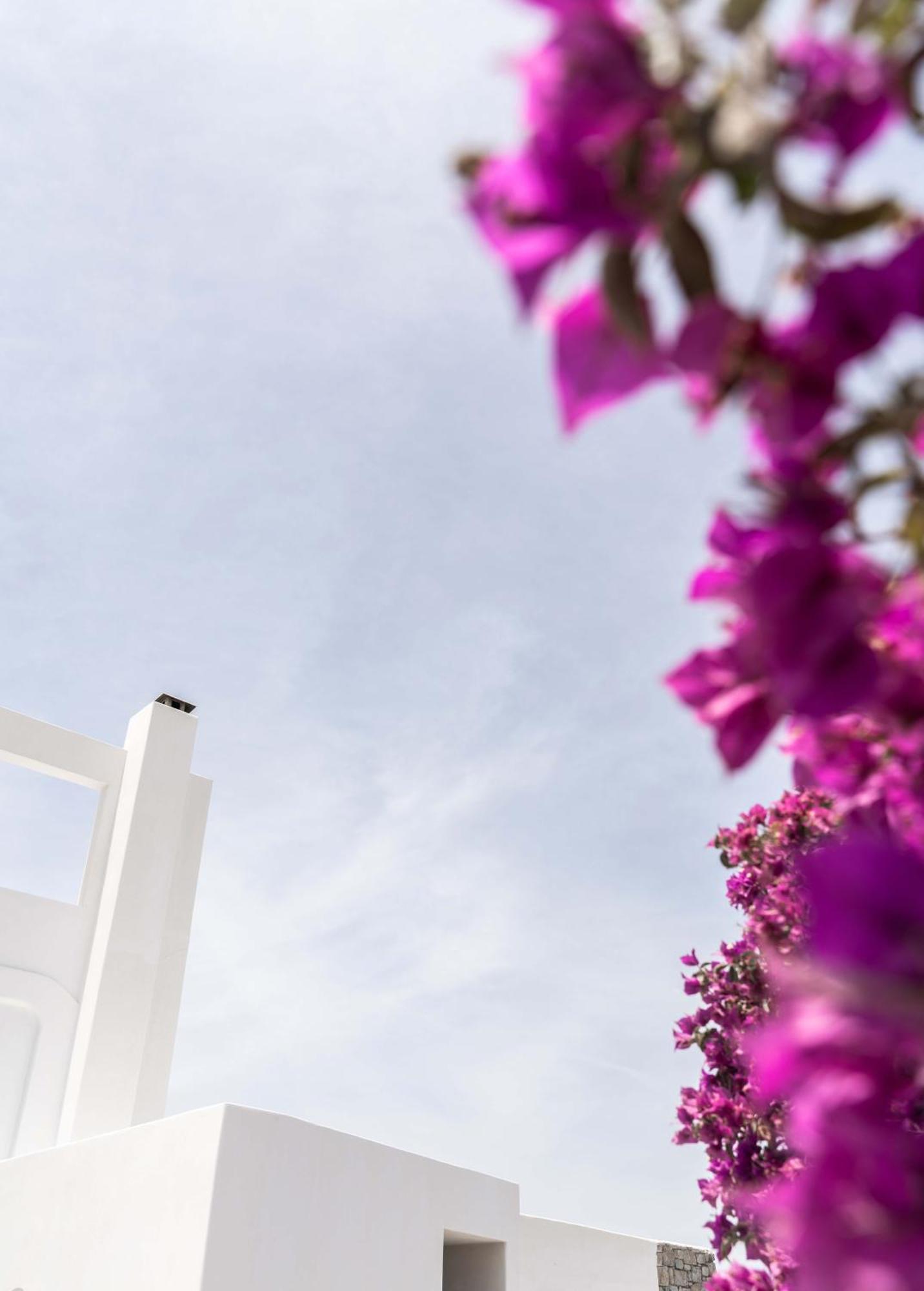 Philosophy Of Mykonos Boutique Hotel Mykonos Town ภายนอก รูปภาพ